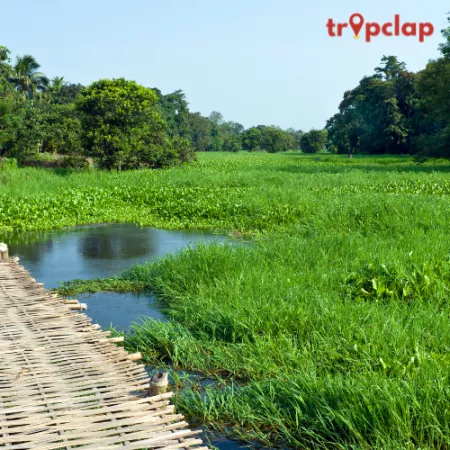 10. Majuli, Assam
