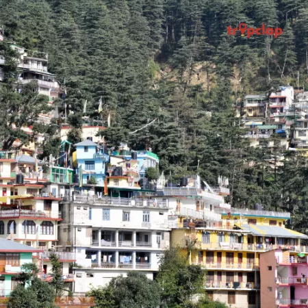 3. McLeod Ganj