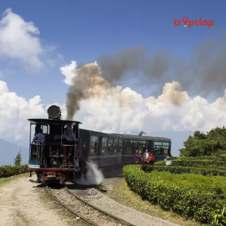 7. Darjeeling