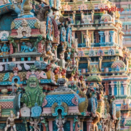 2.7. Ranganathaswami, Tamil Nadu