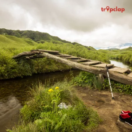 3. Dzukou Valley (Manipur) 