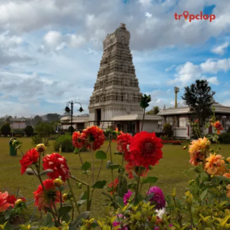 2.10. Tirupati Balaji 