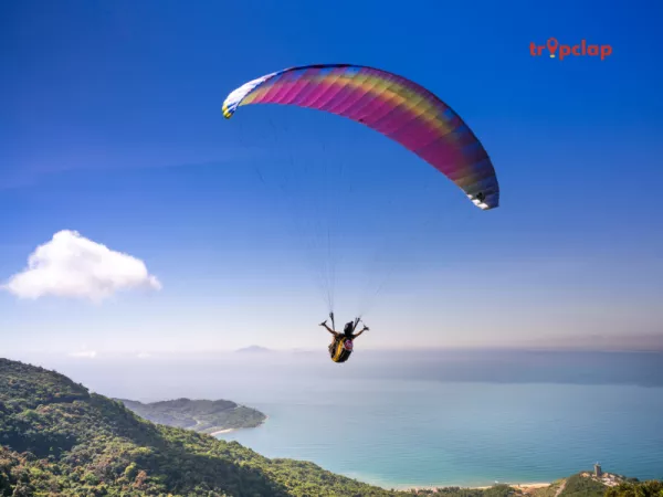 5. Research about the Activities