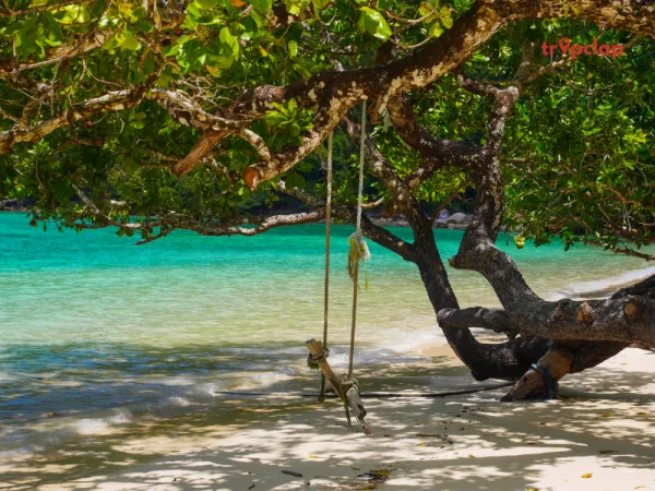 1. Radhanagar Beach, Andaman and Nicobar Islands