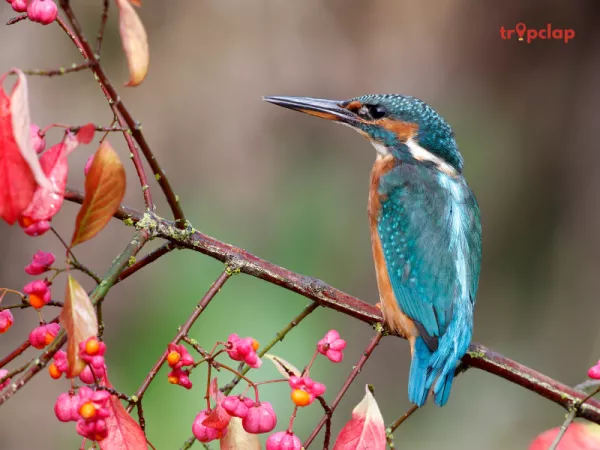 3. Choose Your Destination Wisely