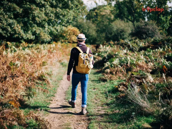 7. Plan Free Activities