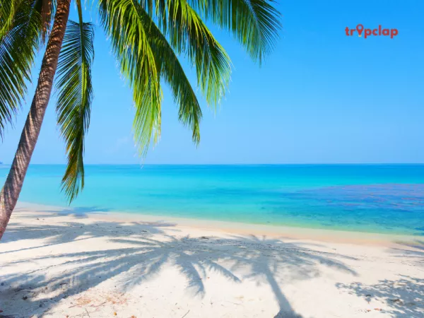 4. Kasarkod beach, Karnataka