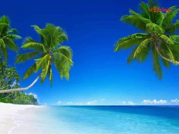 10. Minicoy Thundi beach, Lakshadweep