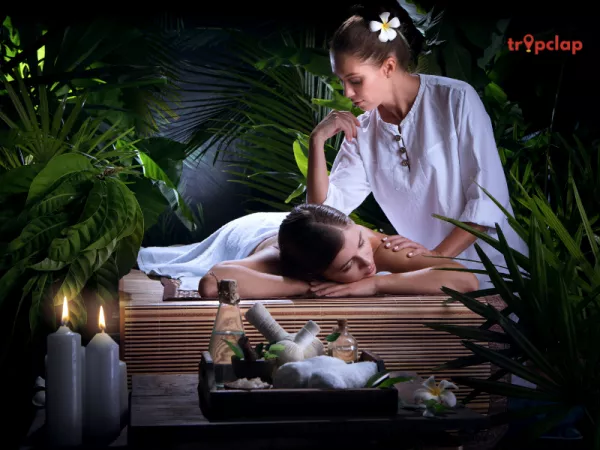 3. Ankit Vista Green Village