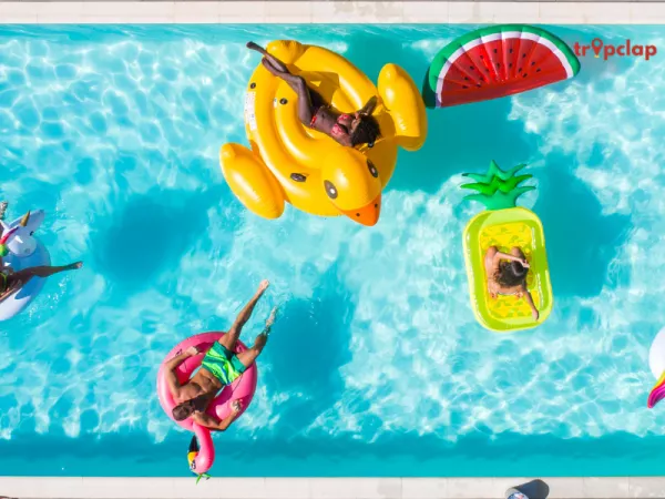 6. Mango Mist Resort