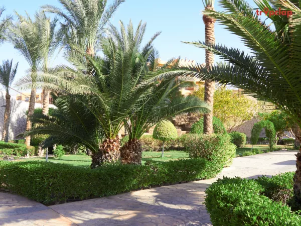  9. The ITC Maurya, New Delhi