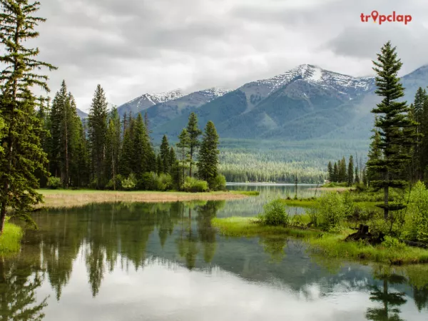 What makes Khajjar the mini switzerland of india