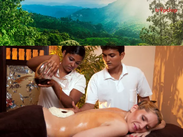 Somatheeram Ayurveda Resort, Kerala: