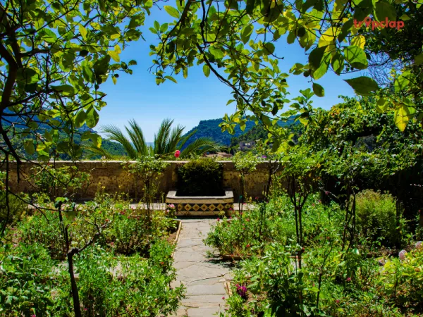 Vivanta by Taj Bekal