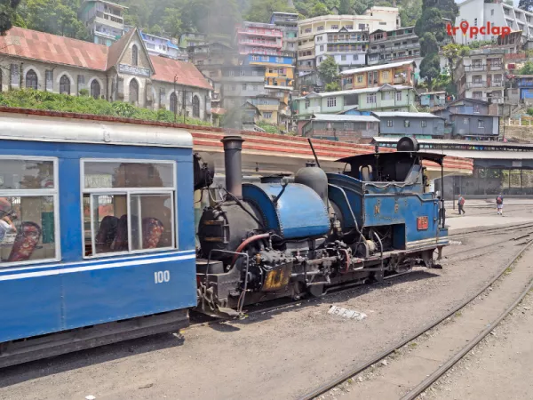 3. Darjeeling