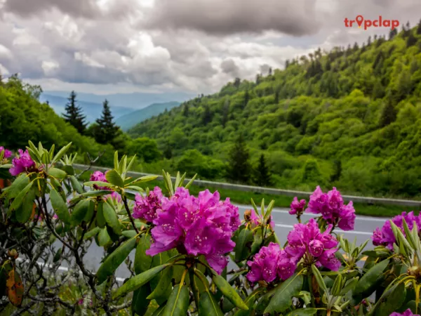 Sustainable tourism  and eco travelling