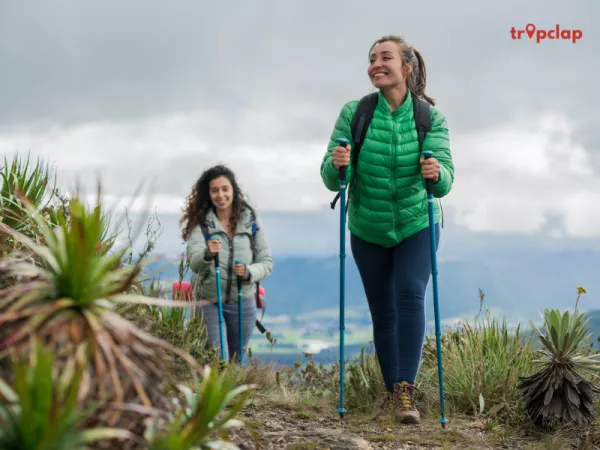 About the The Valley of Flowers trek