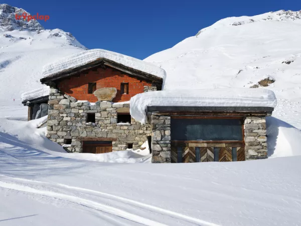 Hotels in Auli