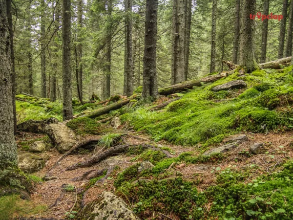  Retezat National Park - A Hiker's Paradise