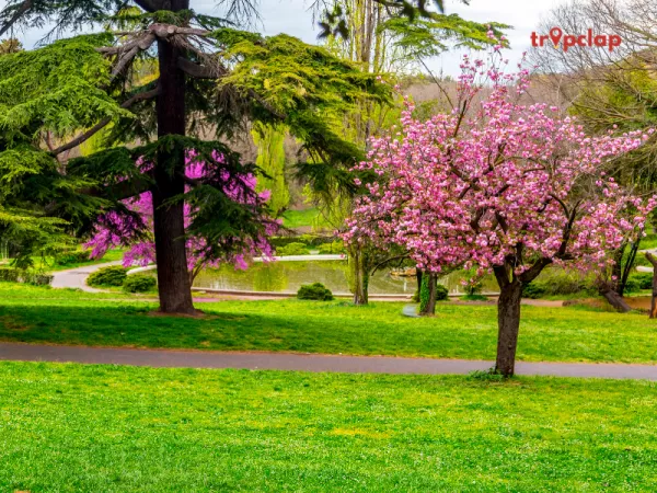 Villa Borghese Gardens, Rome, Italy