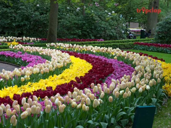 Keukenhof Gardens, Lisse, Netherlands