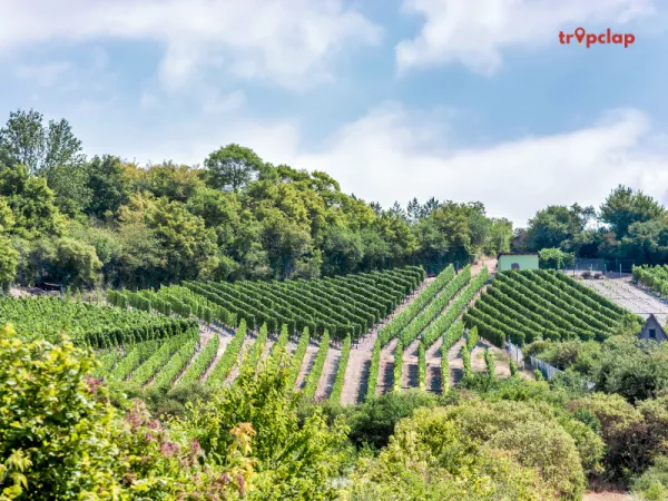 Saale-Unstrut, Germany