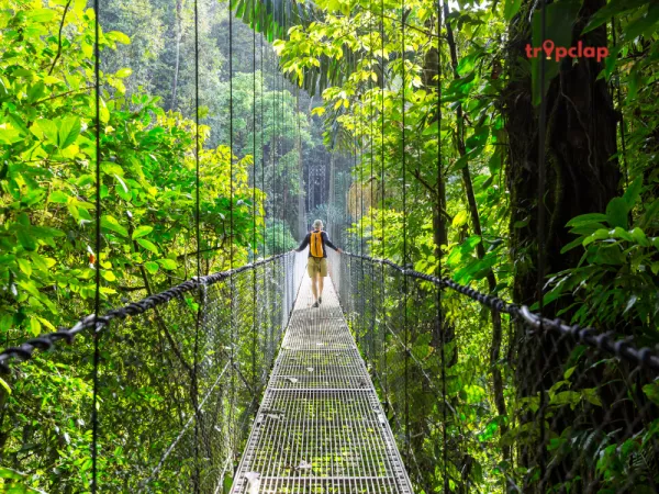West Highland Way, Scotland