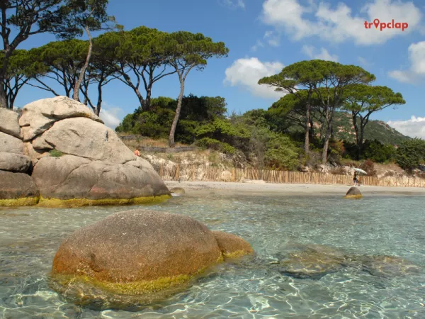 Plage de Saleccia, Corsica