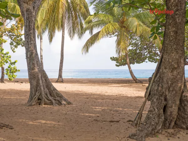  Plage de l'Anse de la Vierge, Cap Ferret