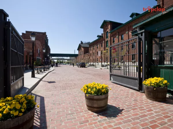 Glenfiddich Distillery