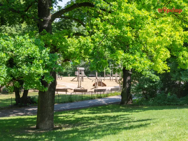 Enjoy a Picnic in the Park