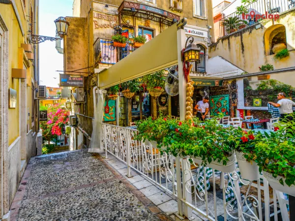 Wander through the Jordaan