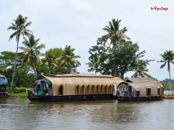 1.1 Alleppey: 