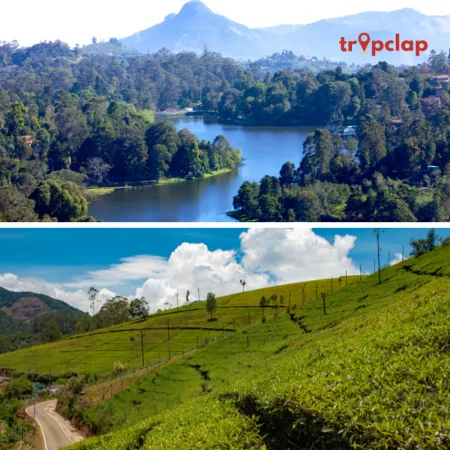 Kodaikanal vs Ooty for honeymoon: Let's check which is your take?