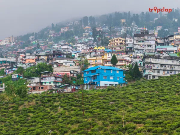 Kurseong 