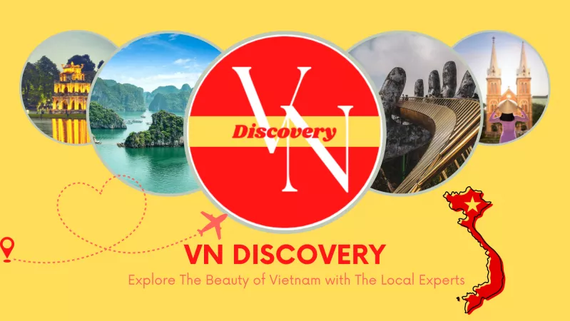 3. VN Discovery 