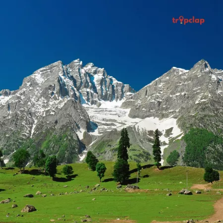 Places To Visit In Kashmir That Must Be On Every Traveler’s List!