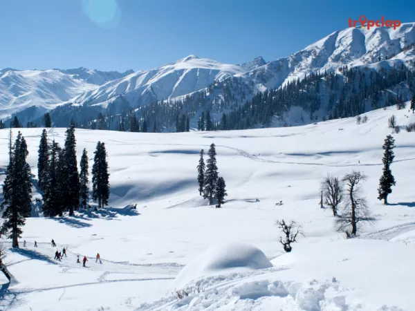 Gulmarg - The Meadow of Flowers