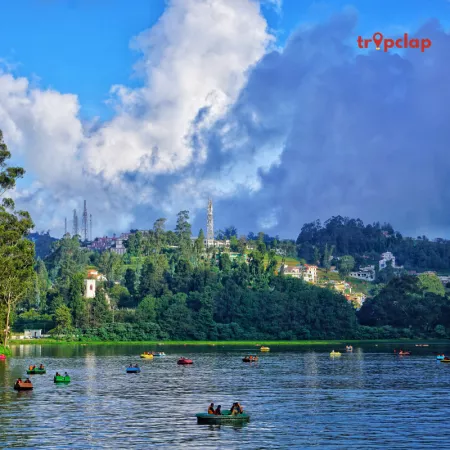 Unveiling the Charms: Top 10 Must-Do Activities in Ooty