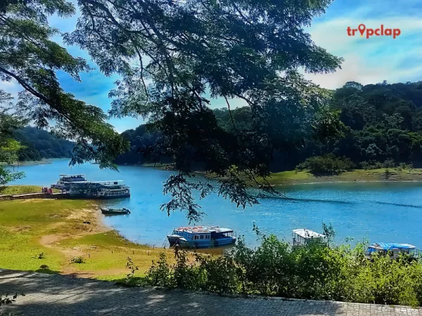 8. Indulge in a Boat Safari in Pykara