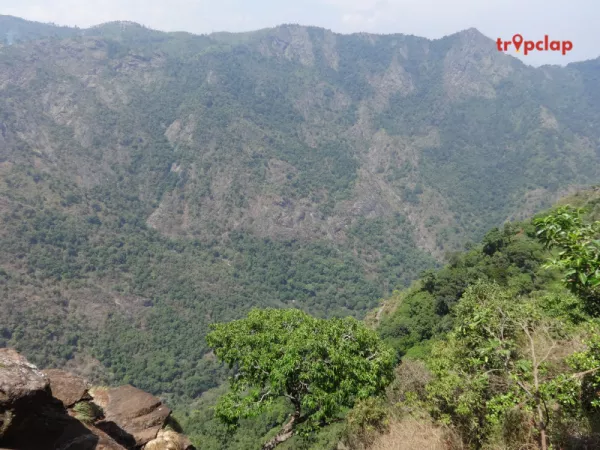 9. Enjoy the Spectacular Cliffside Vista from Dolphin's Nose