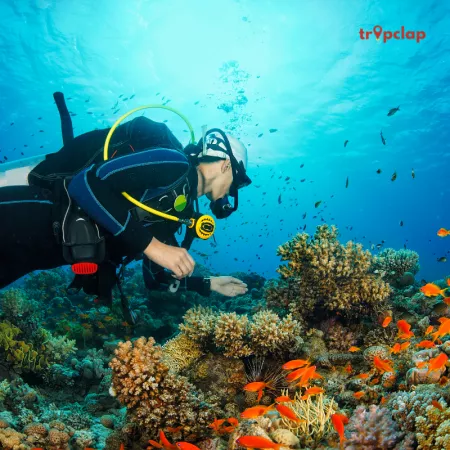 Discover the Underwater Wonders: Scuba Diving in Goa