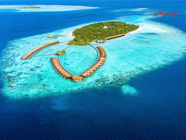 Sea of stars maldives resorts