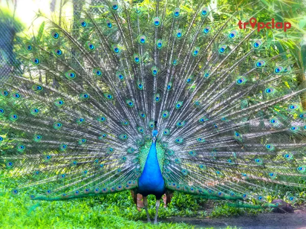 2. Ralamandal Wildlife Sanctuary