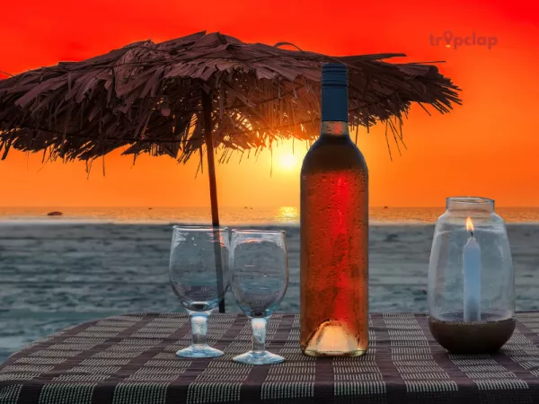 Feni - Goa's Tropical Elixir: