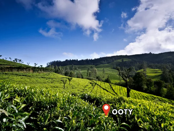 2.4 Ooty