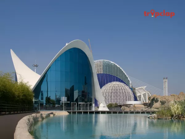 3. L'Oceanografic, Spain