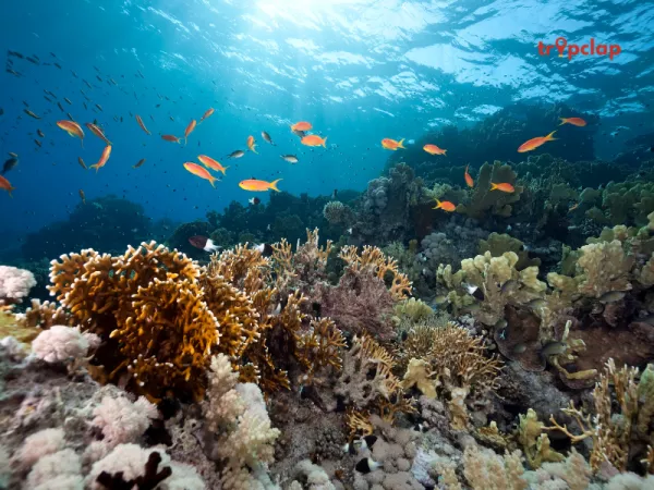 4. Chimelong Ocean Kingdom, China