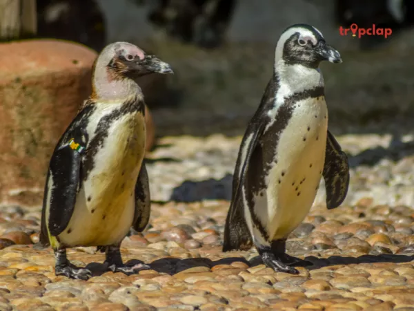6. Ushaka Marine World, South Africa
