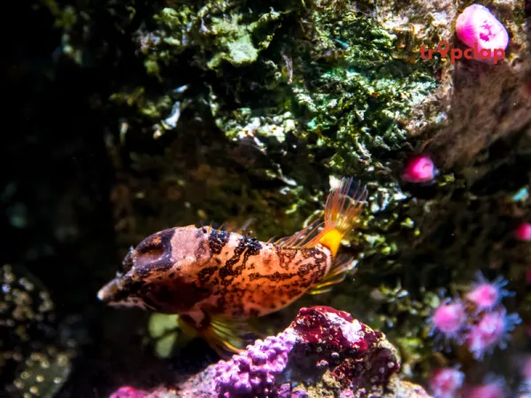 8. Oceanario de Lisboa, Portugal
